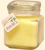 Maui Plumeria Square Top Jar - 12oz